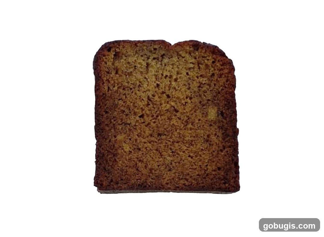 Slice of Bread
