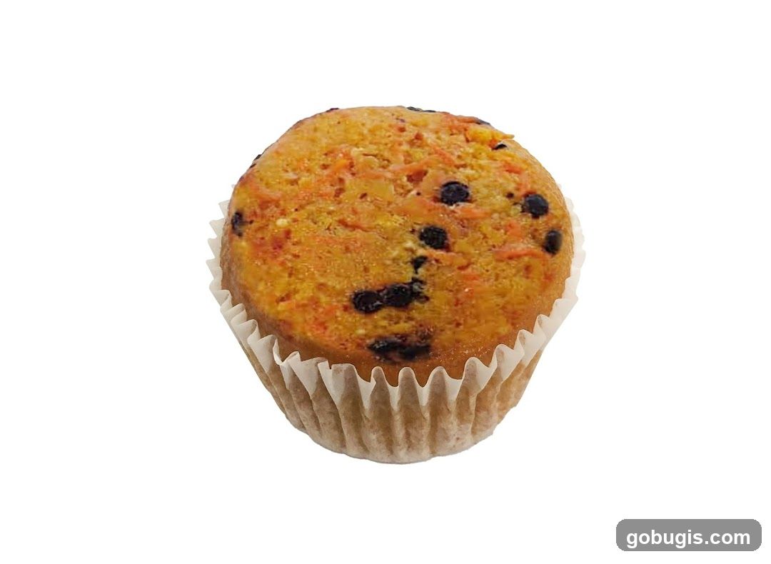 Carrot Muffin