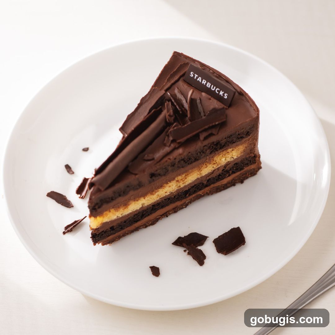 Slice of Chocolate Cake