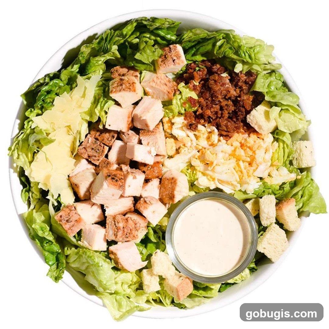SaladStop! DUO Galleria