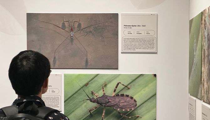 Fort Canning Centre keeps two free exhibitions through 31 March 2027