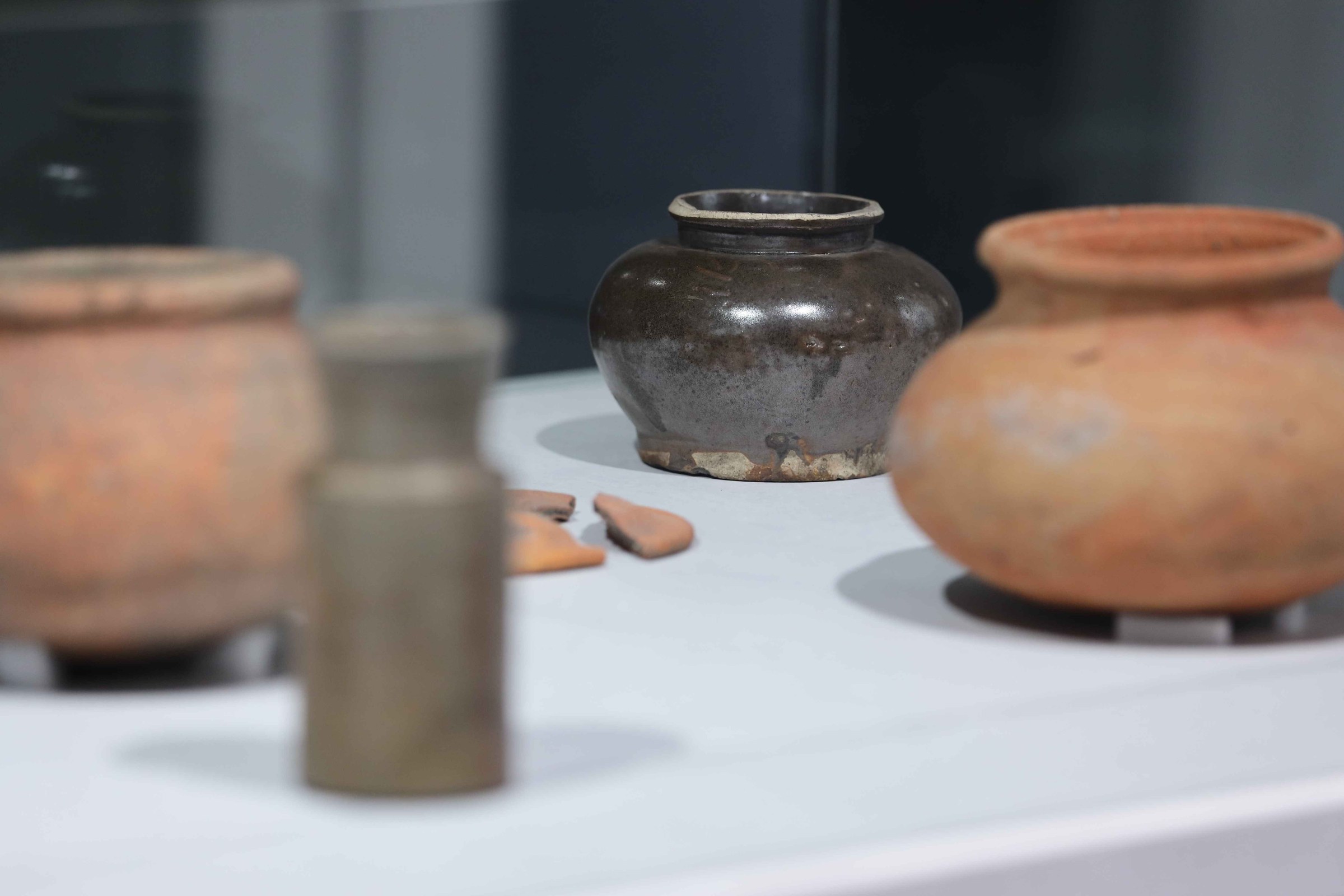 SHIPPED! Vessels of Taste opens free at ArCH Square from 31 October 2026